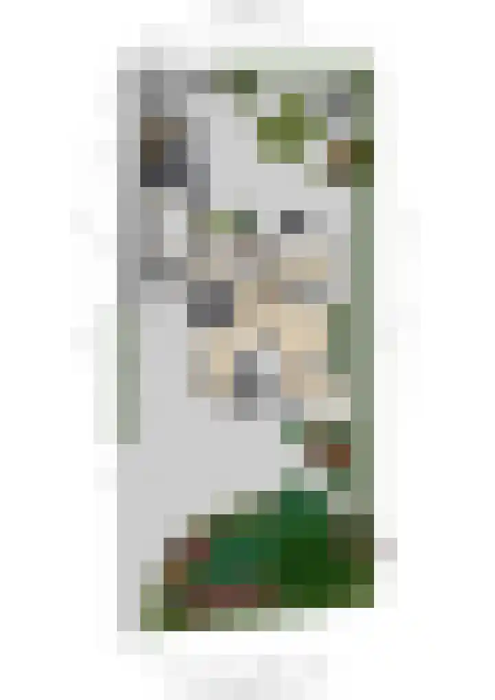 Heuvelskamp 12 Scherpenzeel thumbnail 42