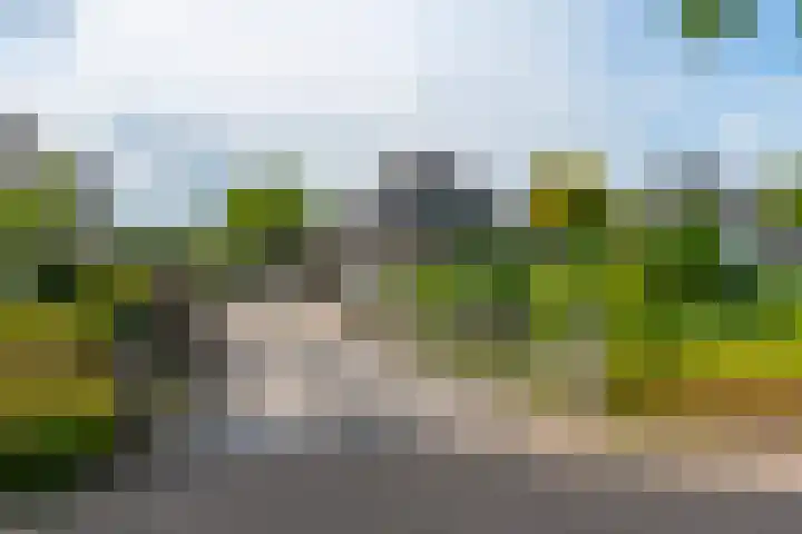 Heuvelskamp 12 Scherpenzeel thumbnail 43