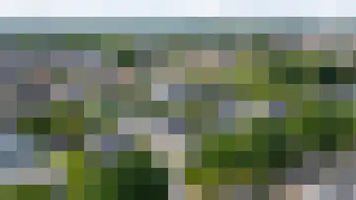 Heuvelskamp 12 Scherpenzeel thumbnail 5