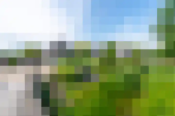 Heuvelskamp 12 Scherpenzeel thumbnail 6