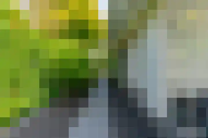 Heuvelskamp 12 Scherpenzeel thumbnail 7
