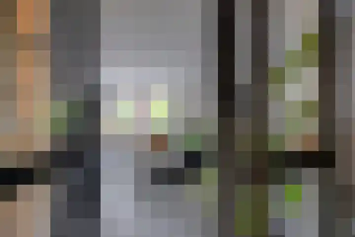 Heuvelskamp 12 Scherpenzeel thumbnail 9