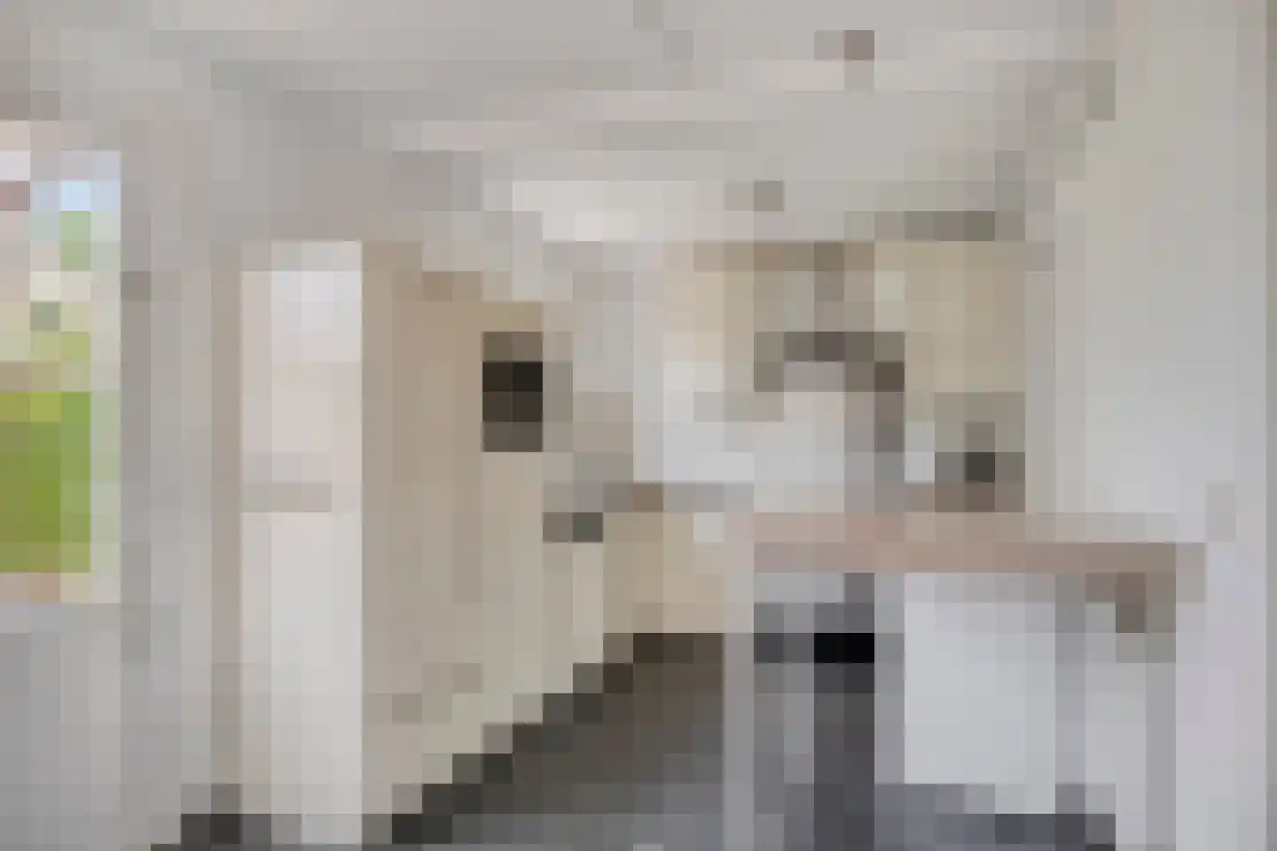 Heuvelskamp 15 Lith thumbnail 19
