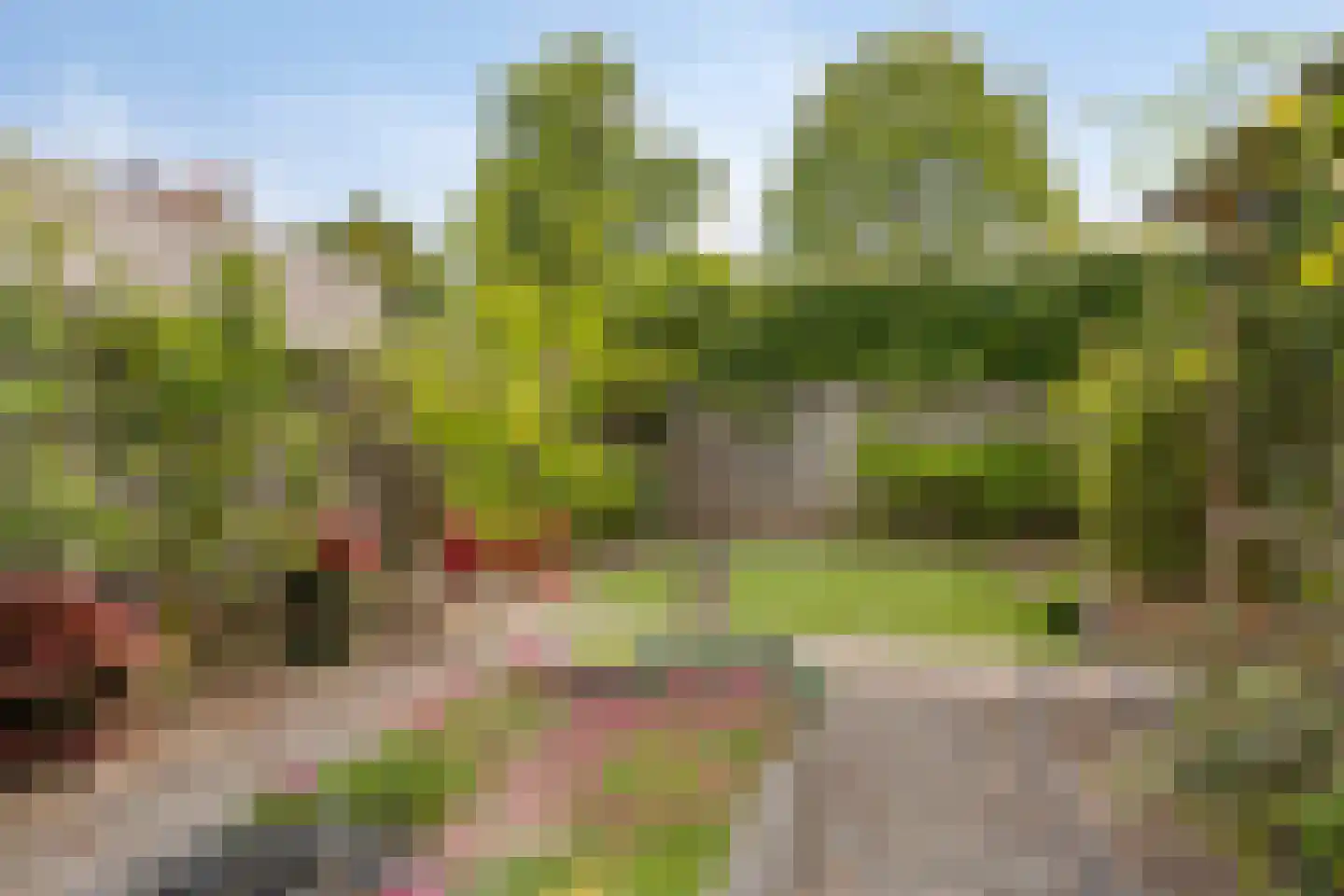 Heuvelskamp 15 Lith thumbnail 38