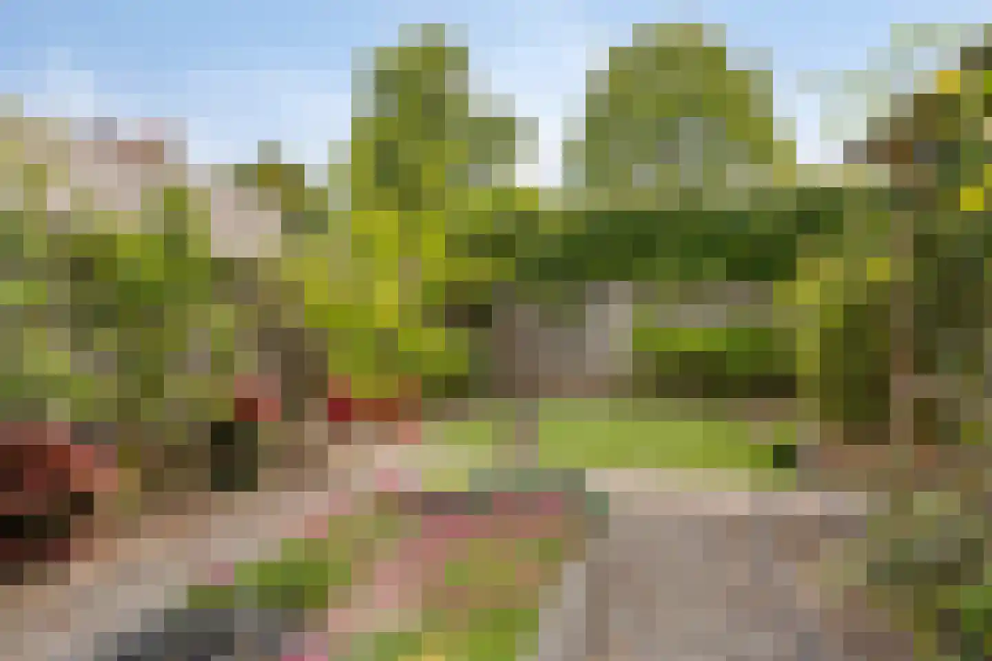 Heuvelskamp 15 Lith thumbnail 5