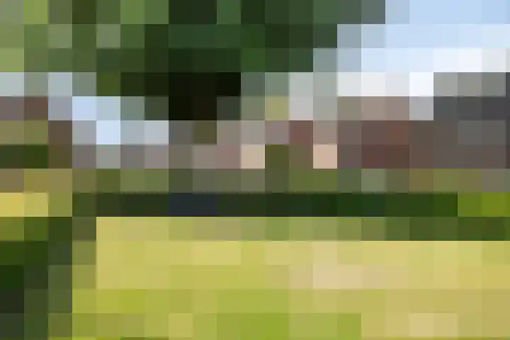 Heuvelstraat 11 Veldhoven thumbnail 29
