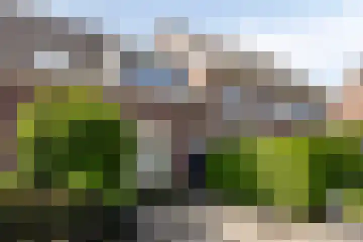 Heuvelstraat 11 Veldhoven thumbnail 36