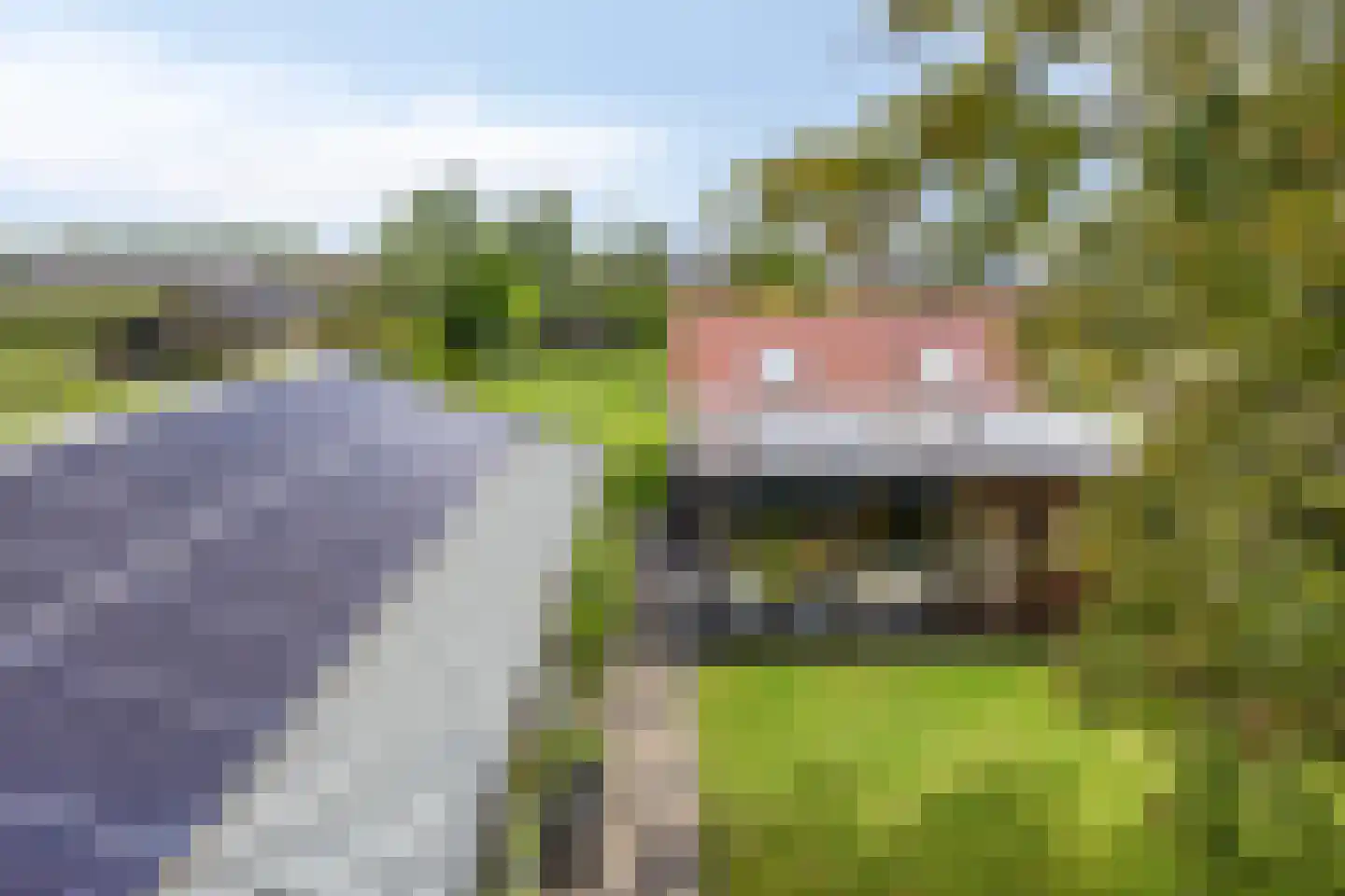 Heuvelstraat 12 A Moergestel thumbnail 64