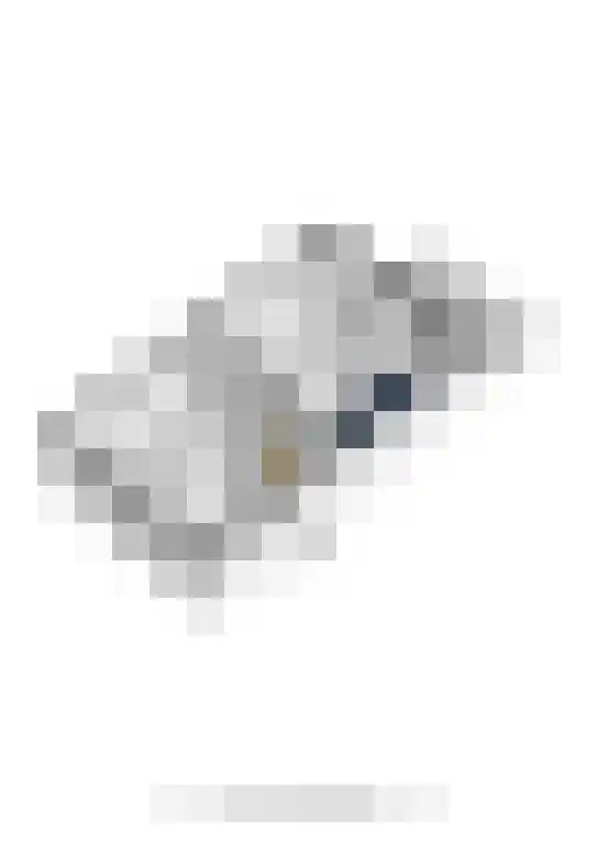 Heuvelstraat 14 Veldhoven thumbnail 36