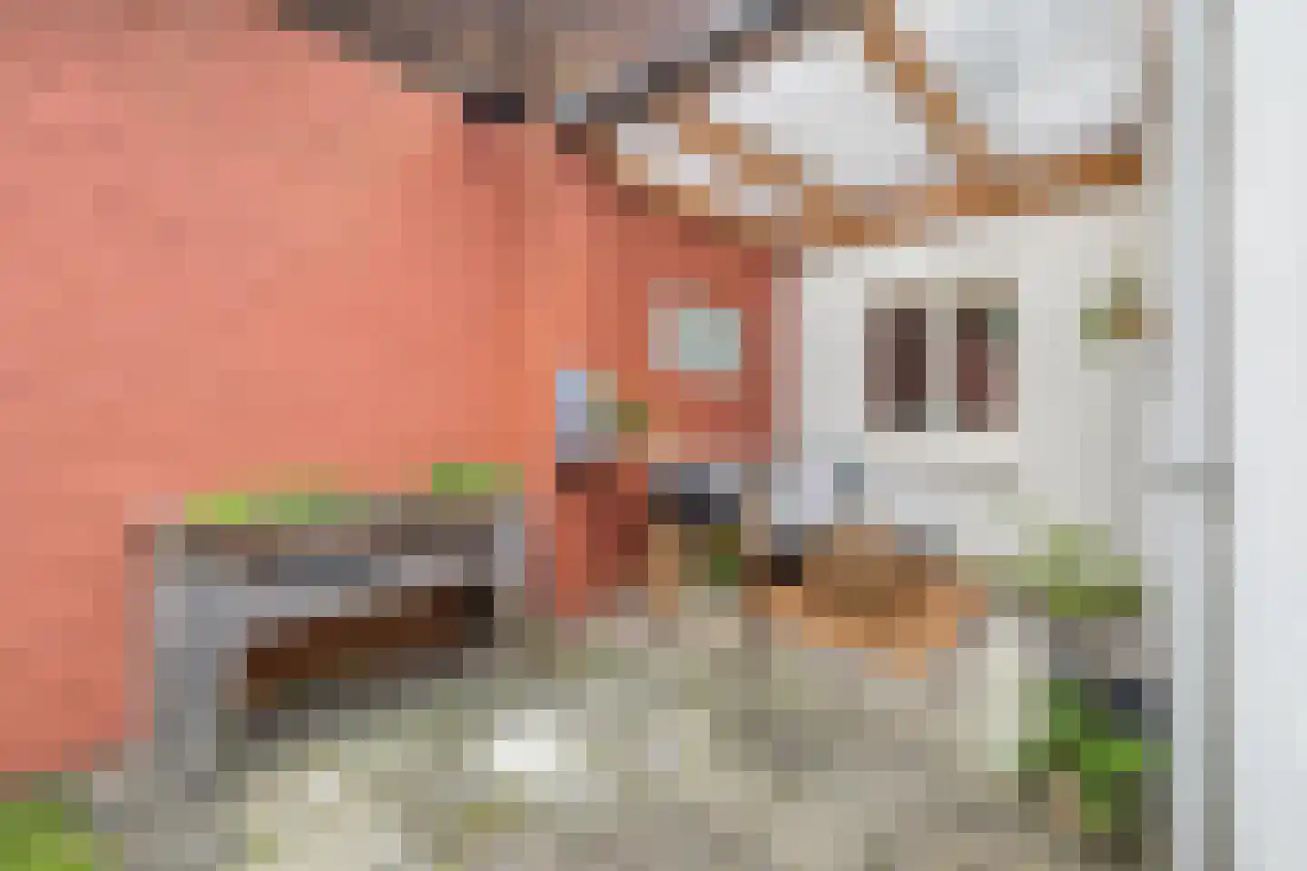 Heuvelstraat 16 Breda thumbnail 32