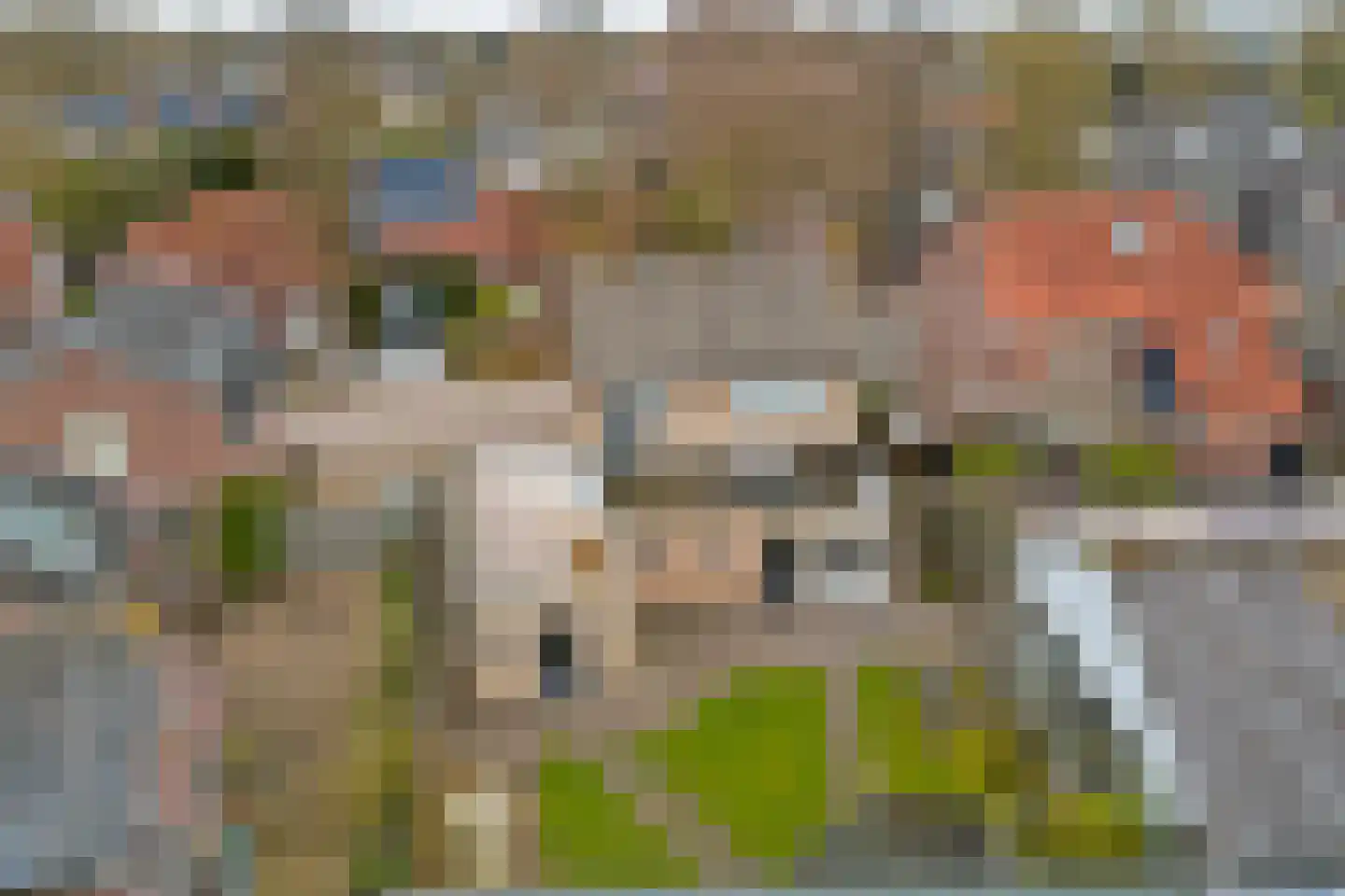 Heuvelstraat 17 Diessen thumbnail 31