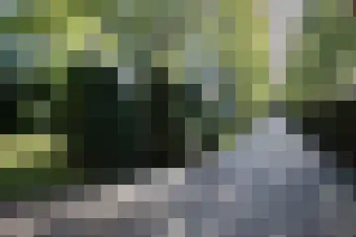 Heuvelstraat 17 Waalre thumbnail 4