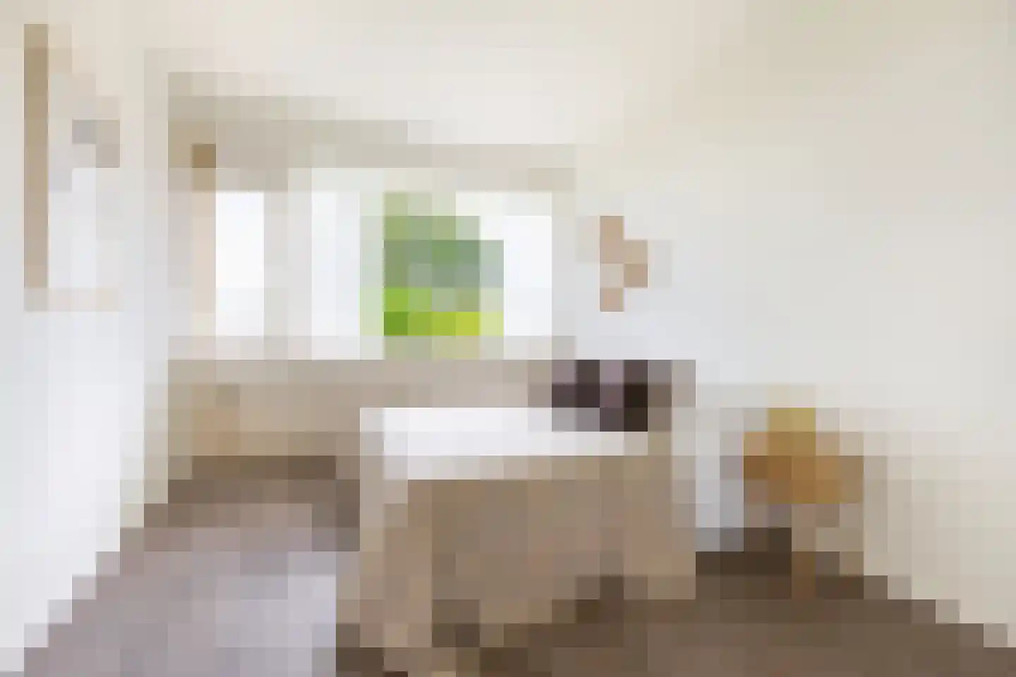 Heuvelstraat 226 Tilburg thumbnail 22
