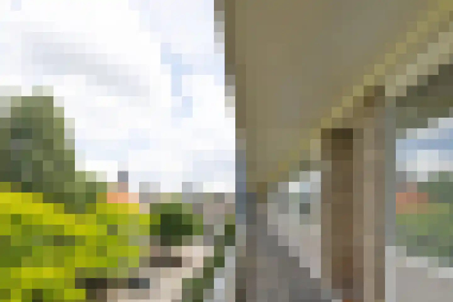 Heuvelstraat 226 Tilburg thumbnail 36