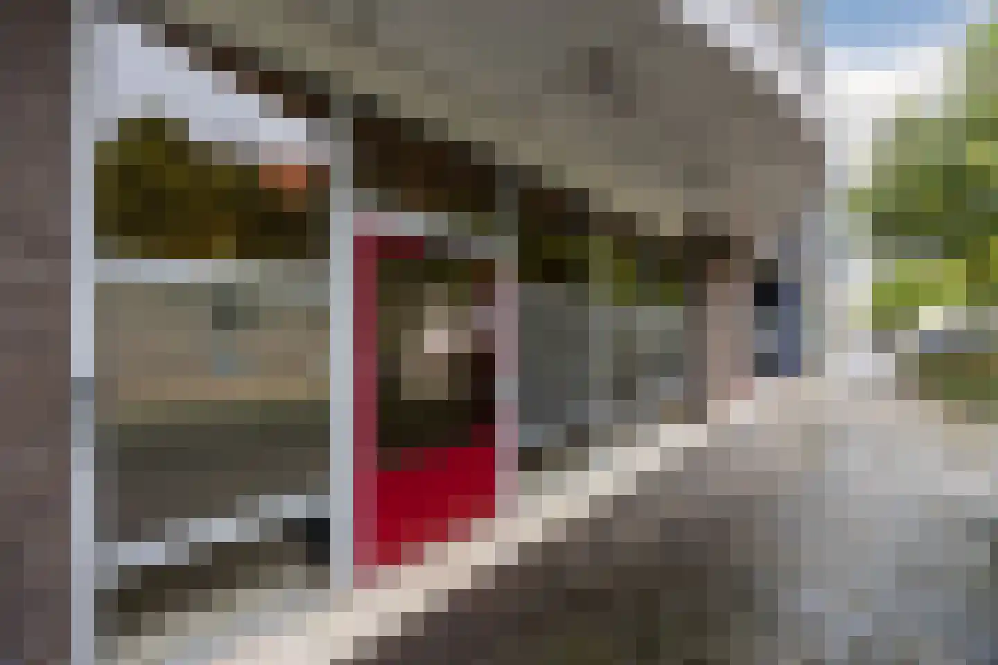 Heuvelstraat 236 Tilburg thumbnail 34