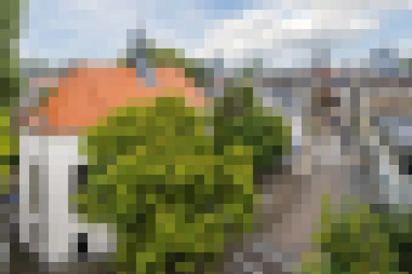 Heuvelstraat 236 Tilburg thumbnail 38