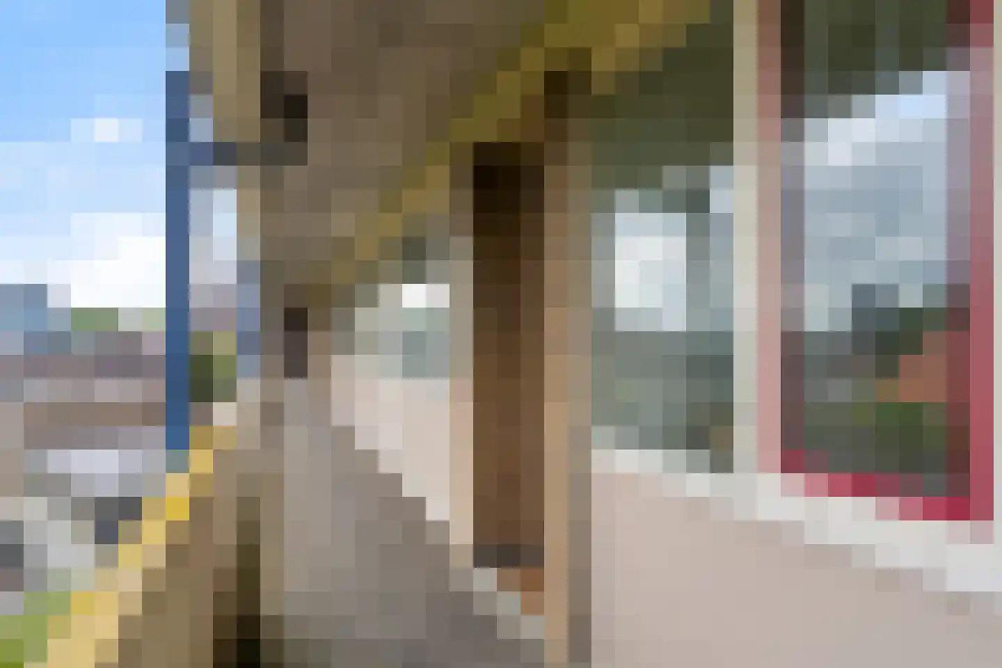 Heuvelstraat 252 Tilburg thumbnail 26