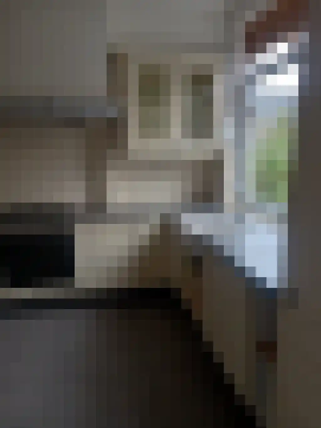 Heuvelstraat 26 Diessen thumbnail 5