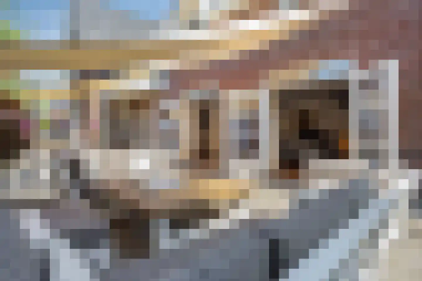 Heuvelstraat 27 Veghel thumbnail 58