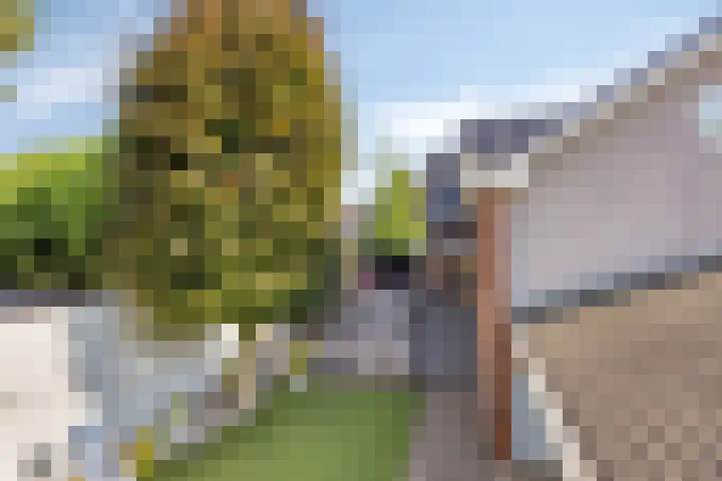 Heuvelstraat 27 Veghel thumbnail 65
