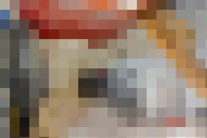 Heuvelstraat 36 Elsloo thumbnail 37