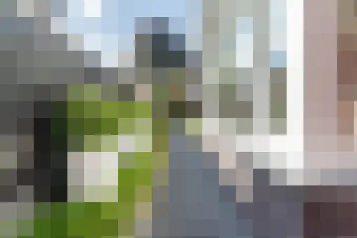 Heuvelstraat 42 Gilze thumbnail 60