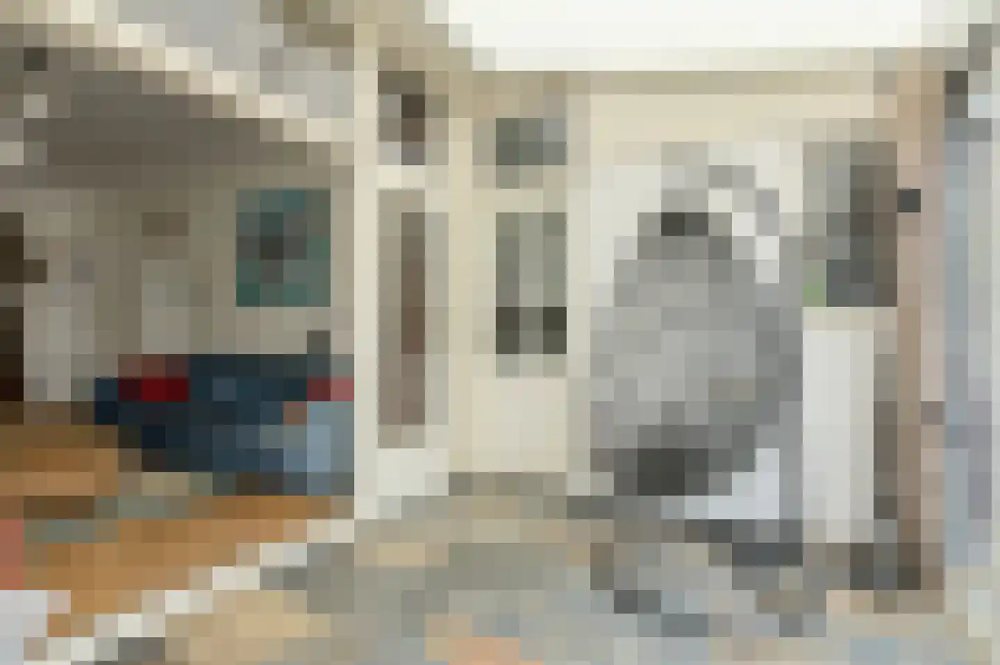 Heuvelstraat 5 Breda thumbnail 20