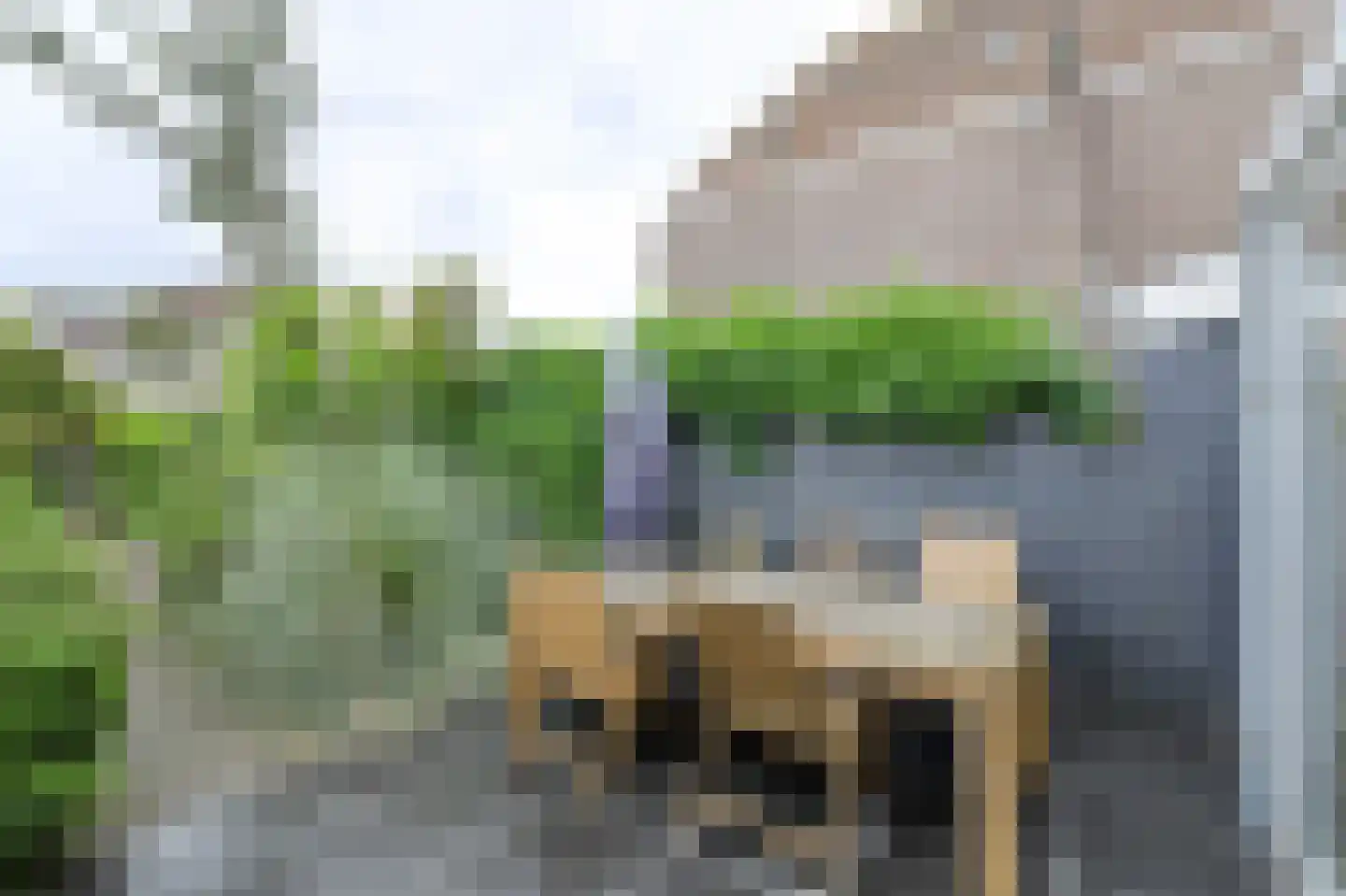 Heuvelstraat 5 Breda thumbnail 56