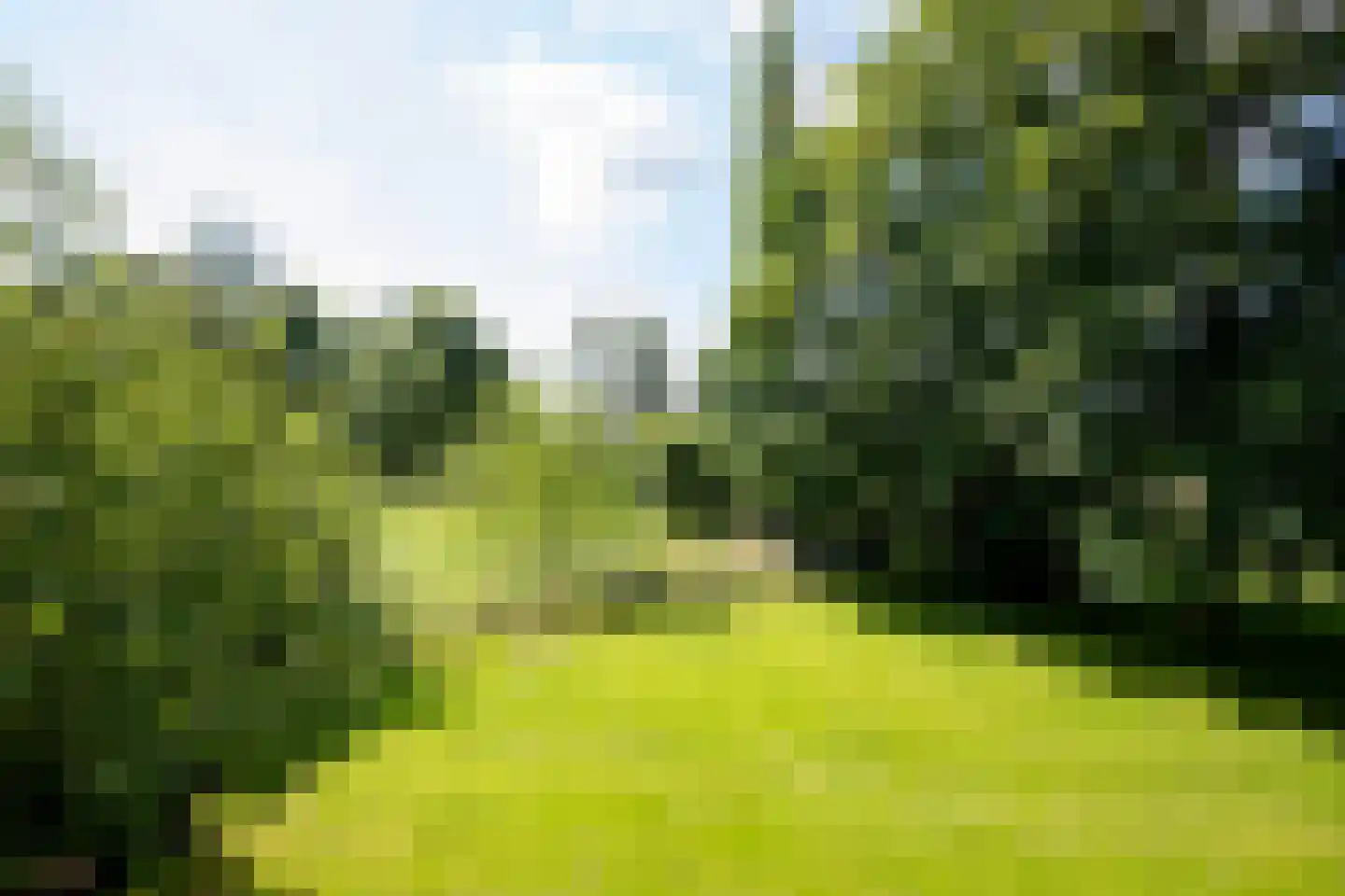 Heuvelstraat 60 Alphen thumbnail 32