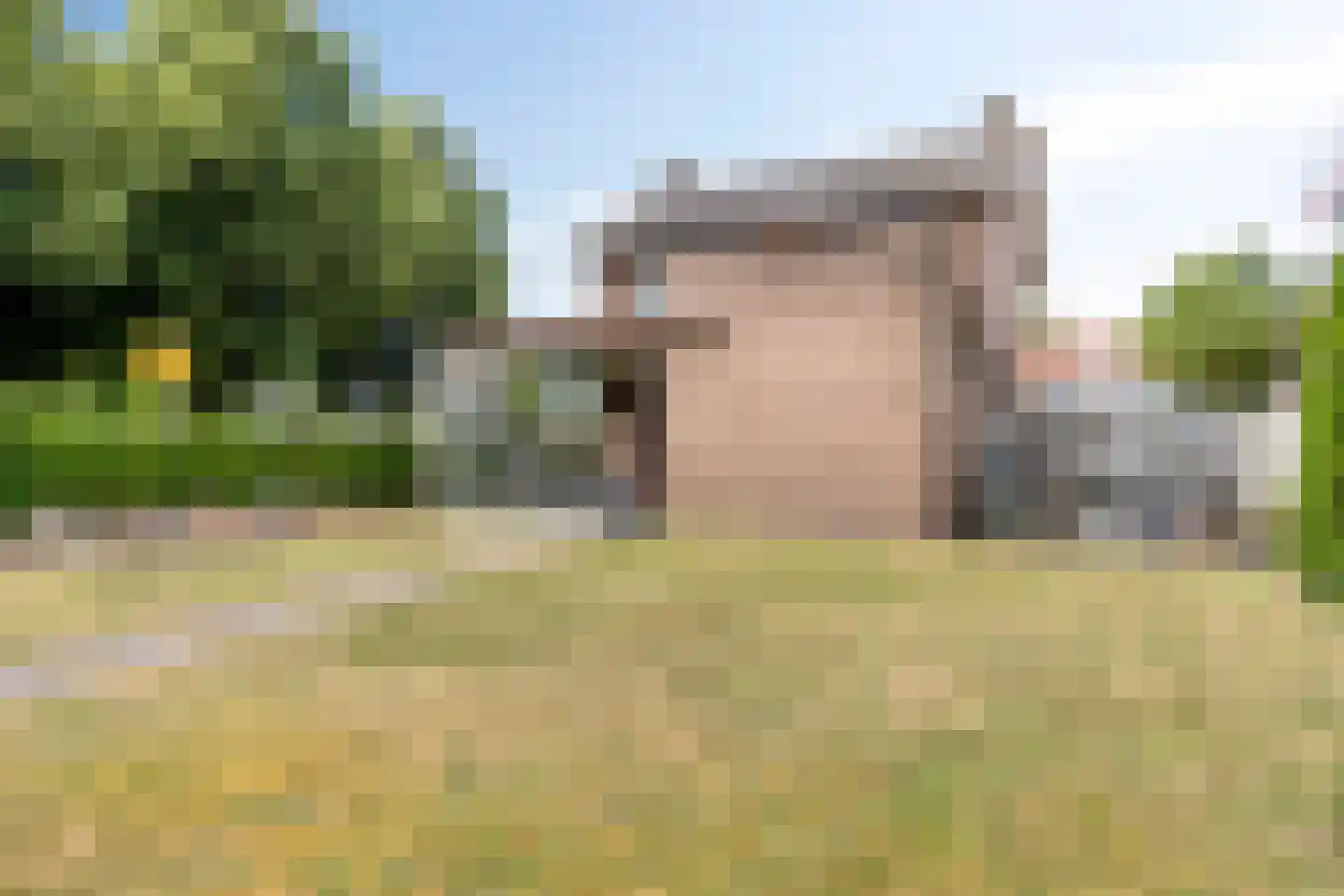 Heuvelstraat 61 Nistelrode thumbnail 26