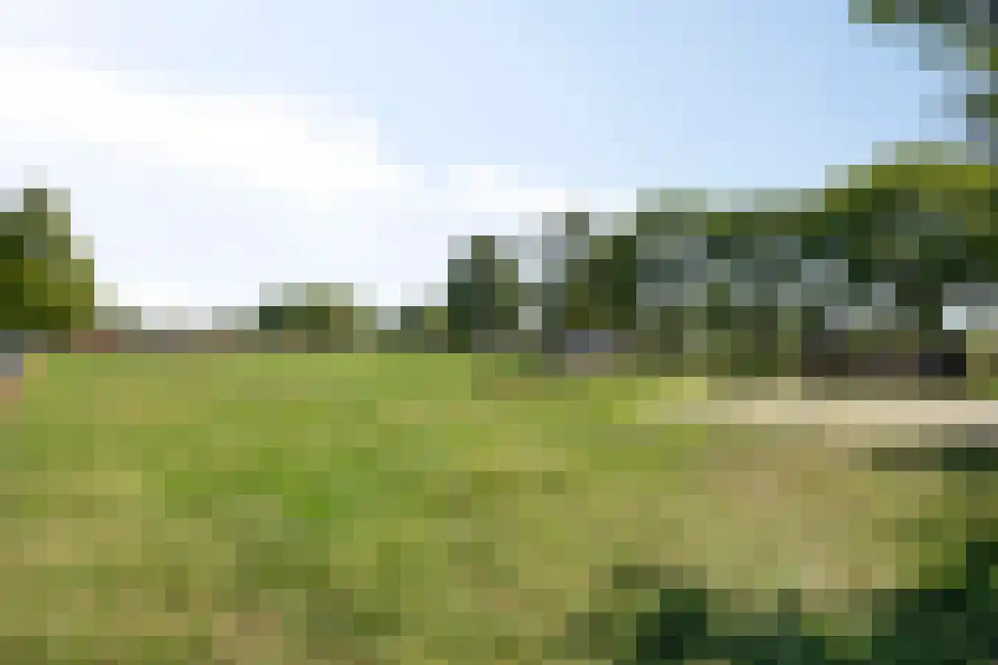Heuvelstraat 61 Nistelrode thumbnail 30