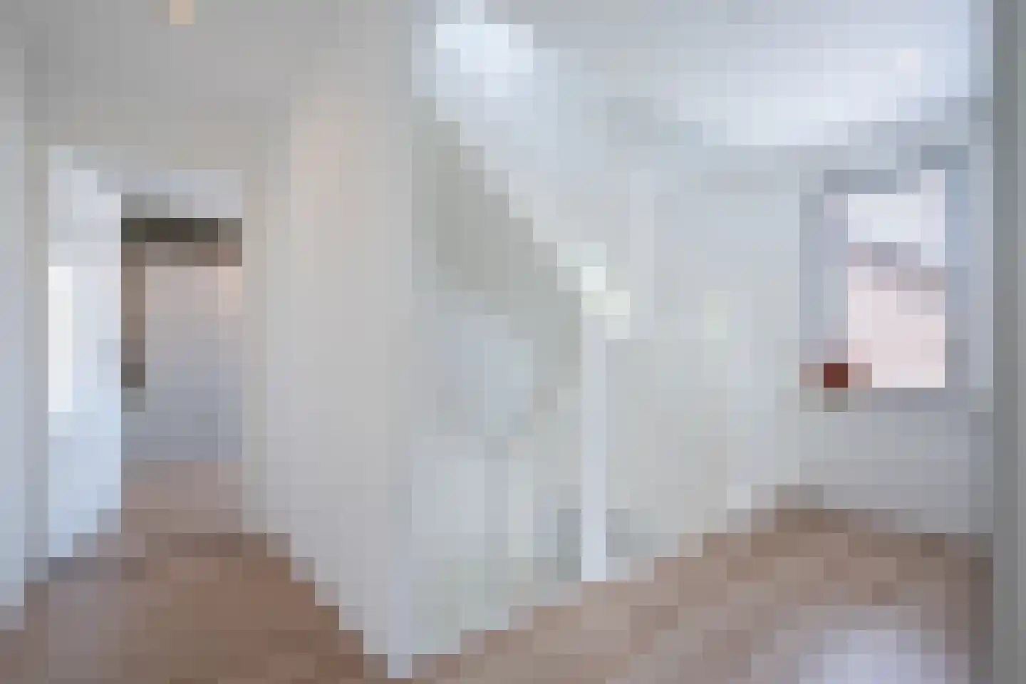 Heuvelstraat 64 Diessen thumbnail 20