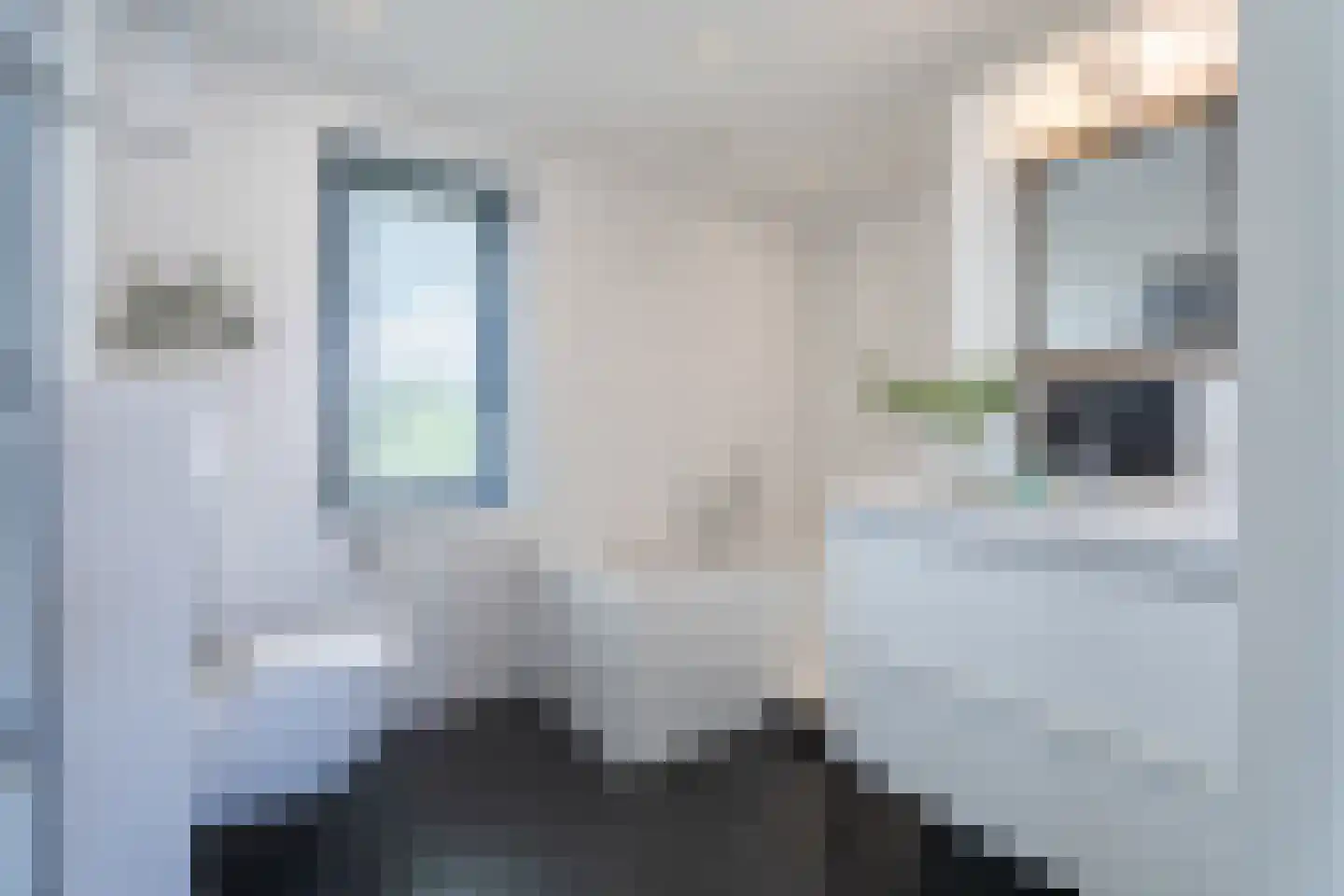 Heuvelstraat 64 Diessen thumbnail 25