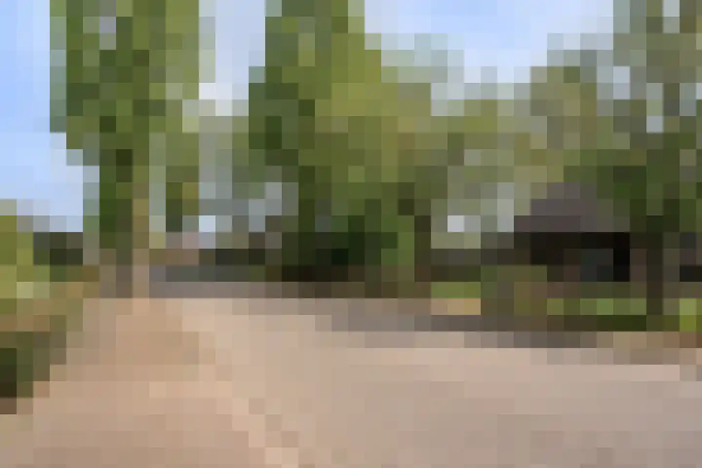 Heuvelstraat 64 Diessen thumbnail 41
