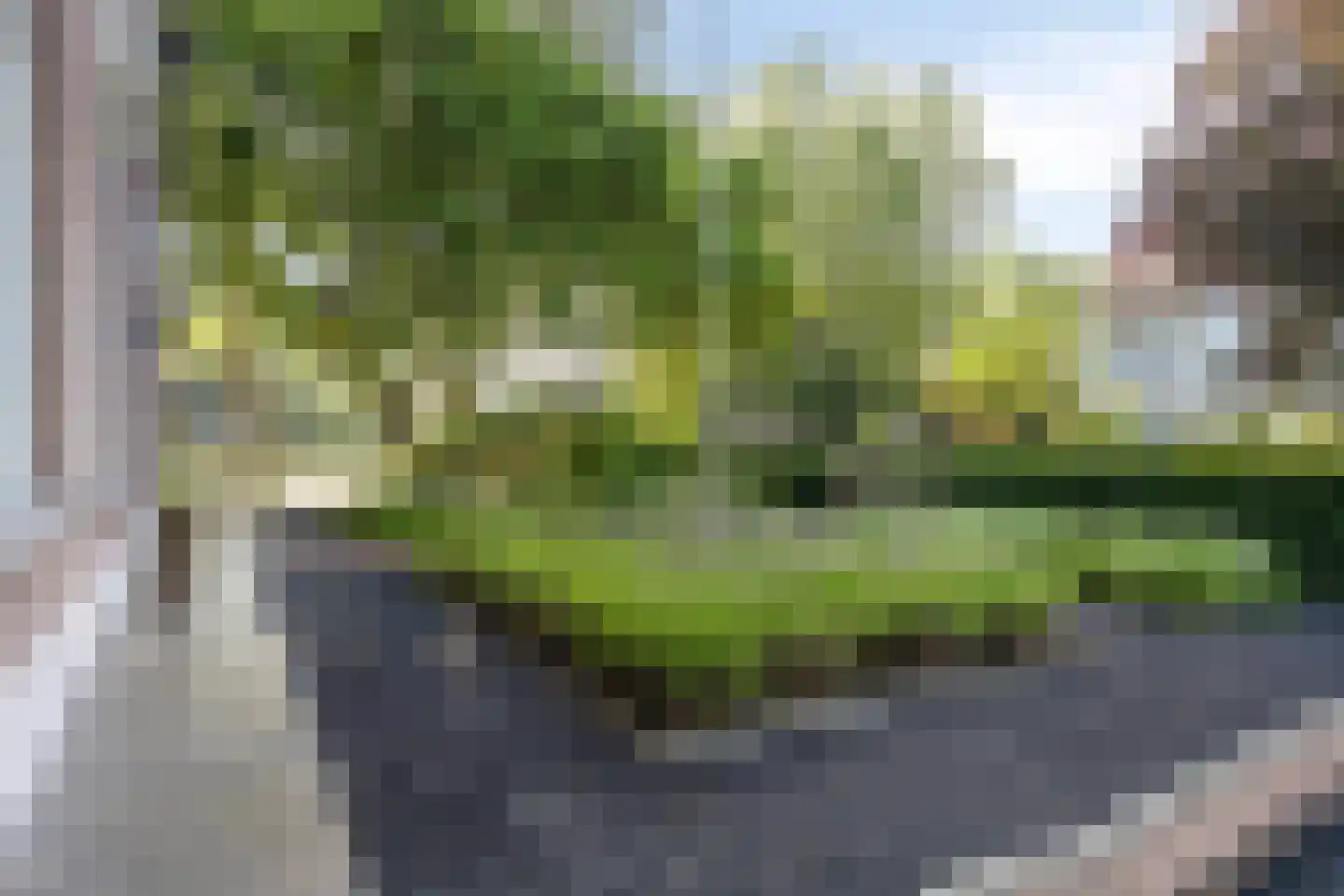 Heuvelstraat 7 Dongen thumbnail 12