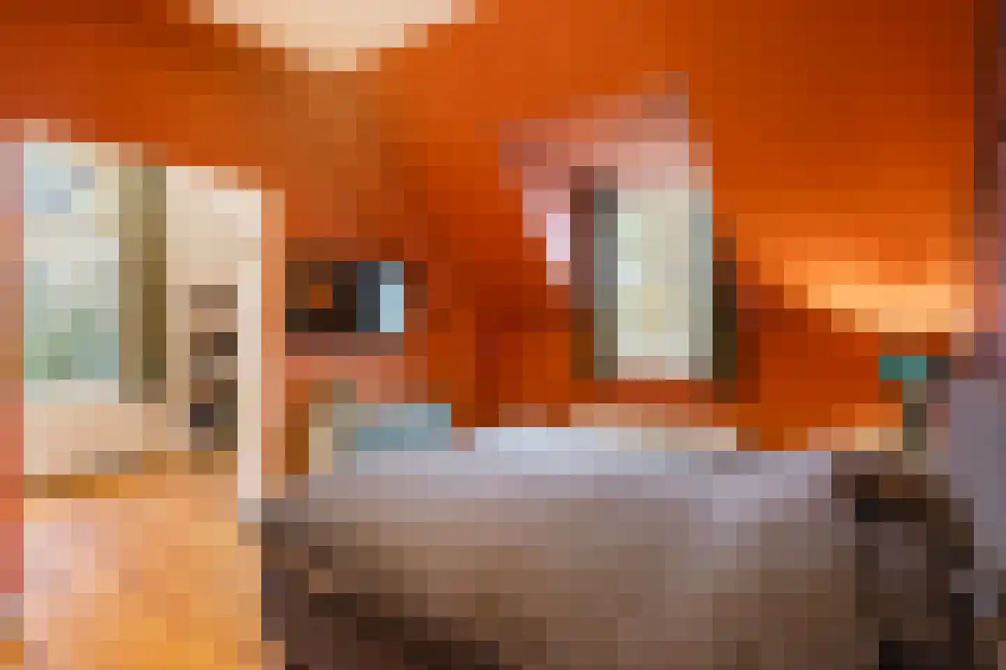 Heuvelstraat 7 Dongen thumbnail 4