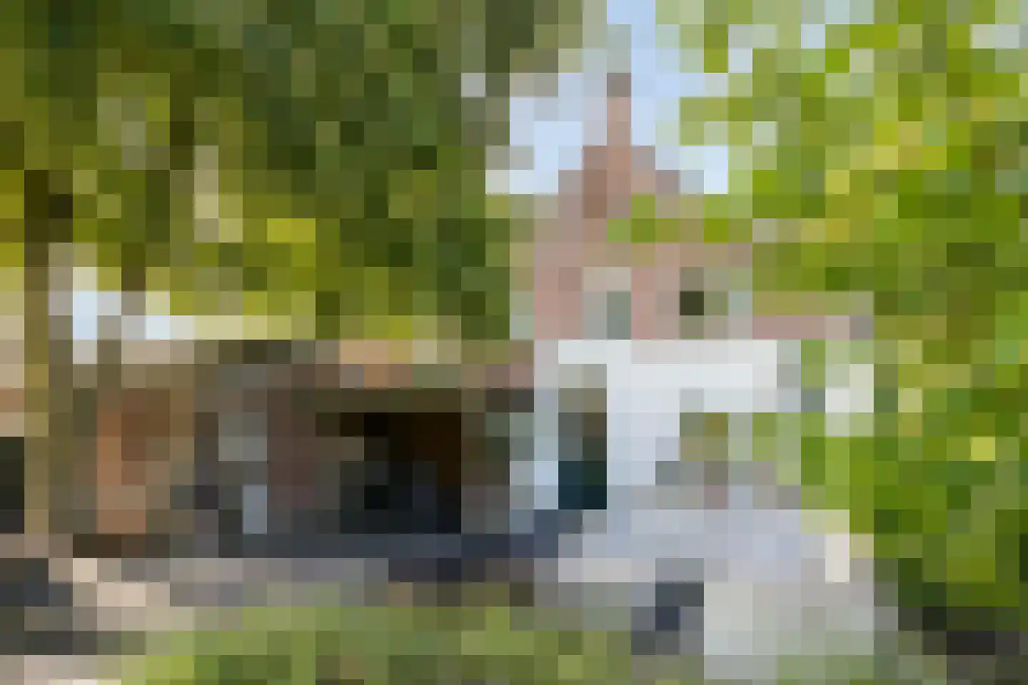 Heuvelstraat 7 Dongen thumbnail 51