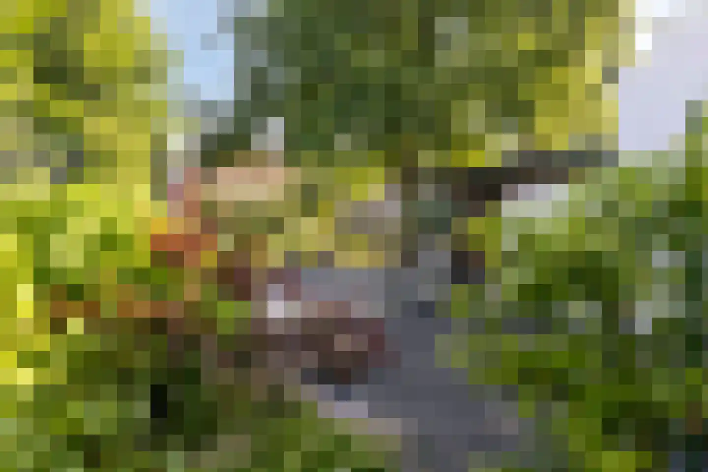 Heuvelstraat 7 Dongen thumbnail 52