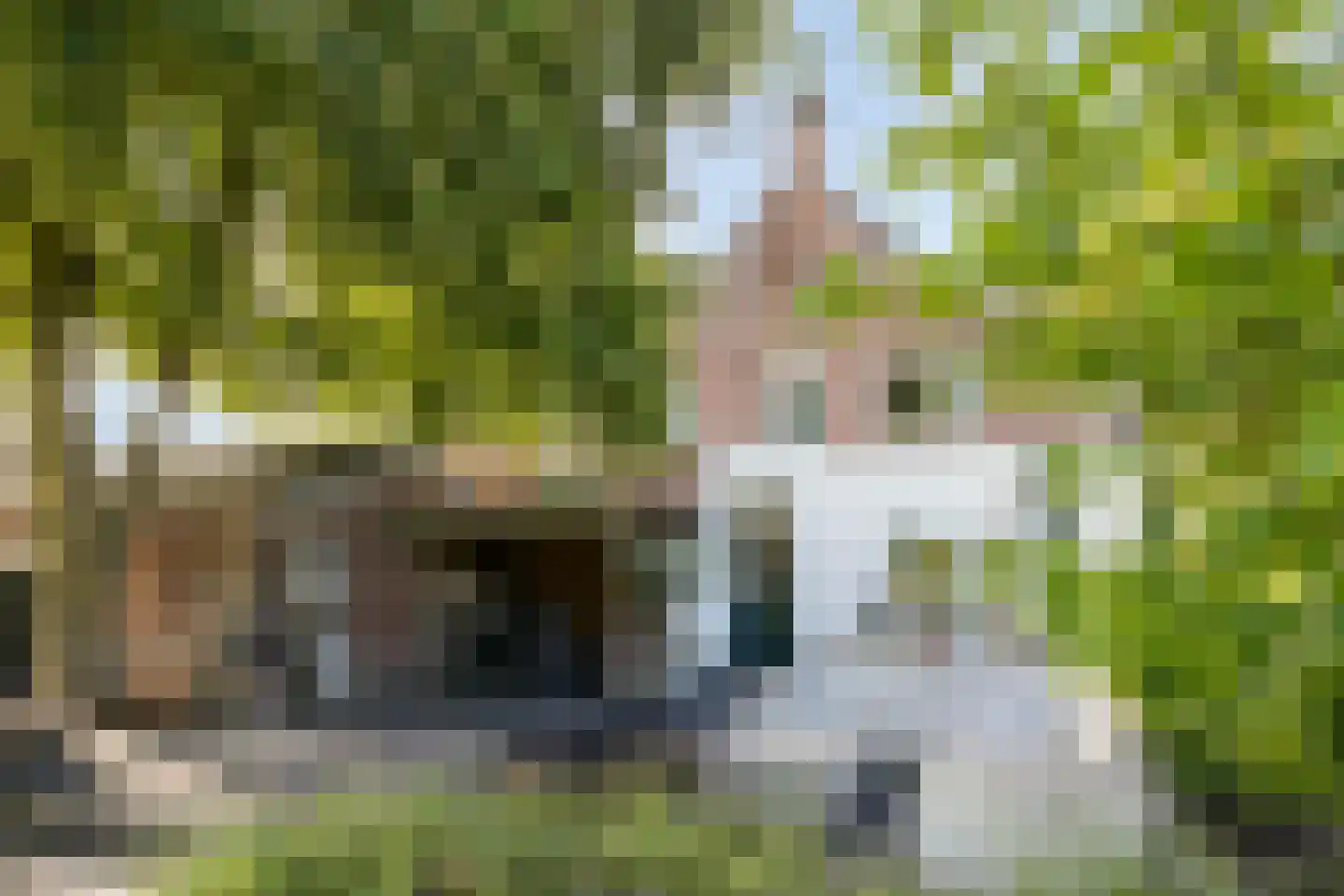 Heuvelstraat 7 Dongen thumbnail 52