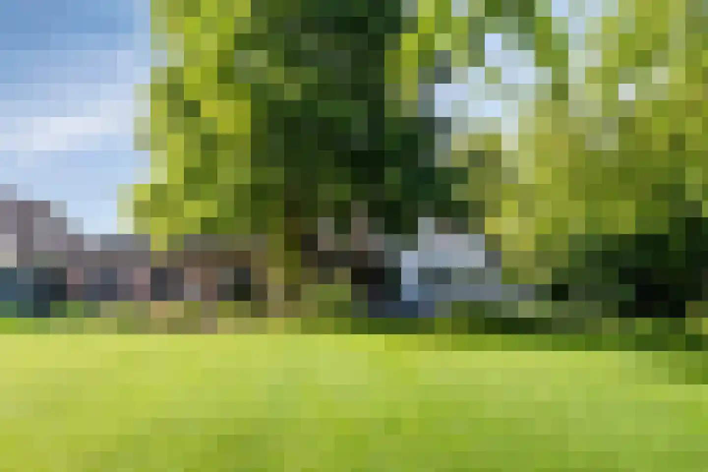 Heuvelstraat 7 Dongen thumbnail 6
