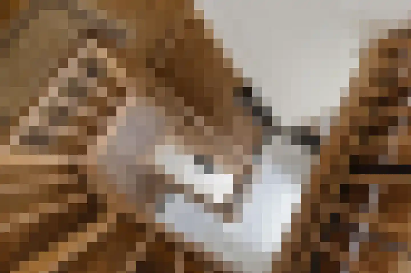 Heuvelsweg 1 Grevenbicht thumbnail 15