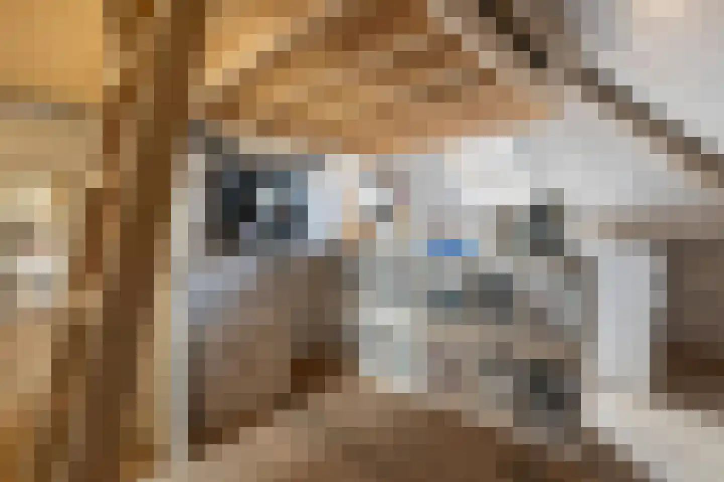 Heuvelsweg 1 Grevenbicht thumbnail 16