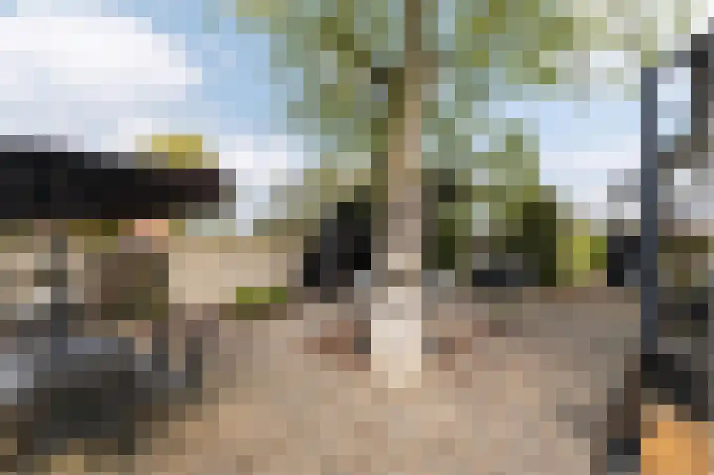 Heuvelsweg 1 Grevenbicht thumbnail 19