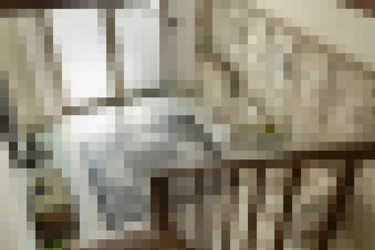 Heuvelsweg 1 Grevenbicht thumbnail 9