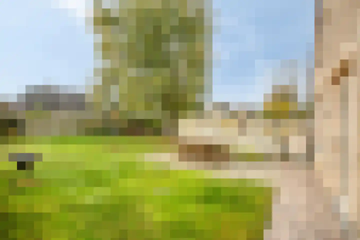Heuvelsweg 142 Grevenbicht thumbnail 16