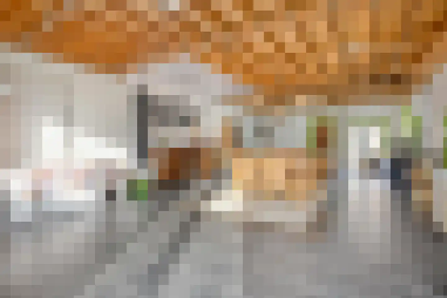 Heuvelsweg 142 Grevenbicht thumbnail 20