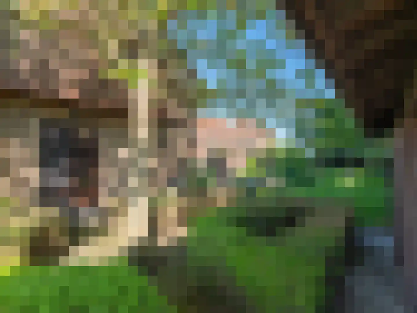 Heuvelsweg 3650 Dilsen-Stokkem Grevenbicht thumbnail 10