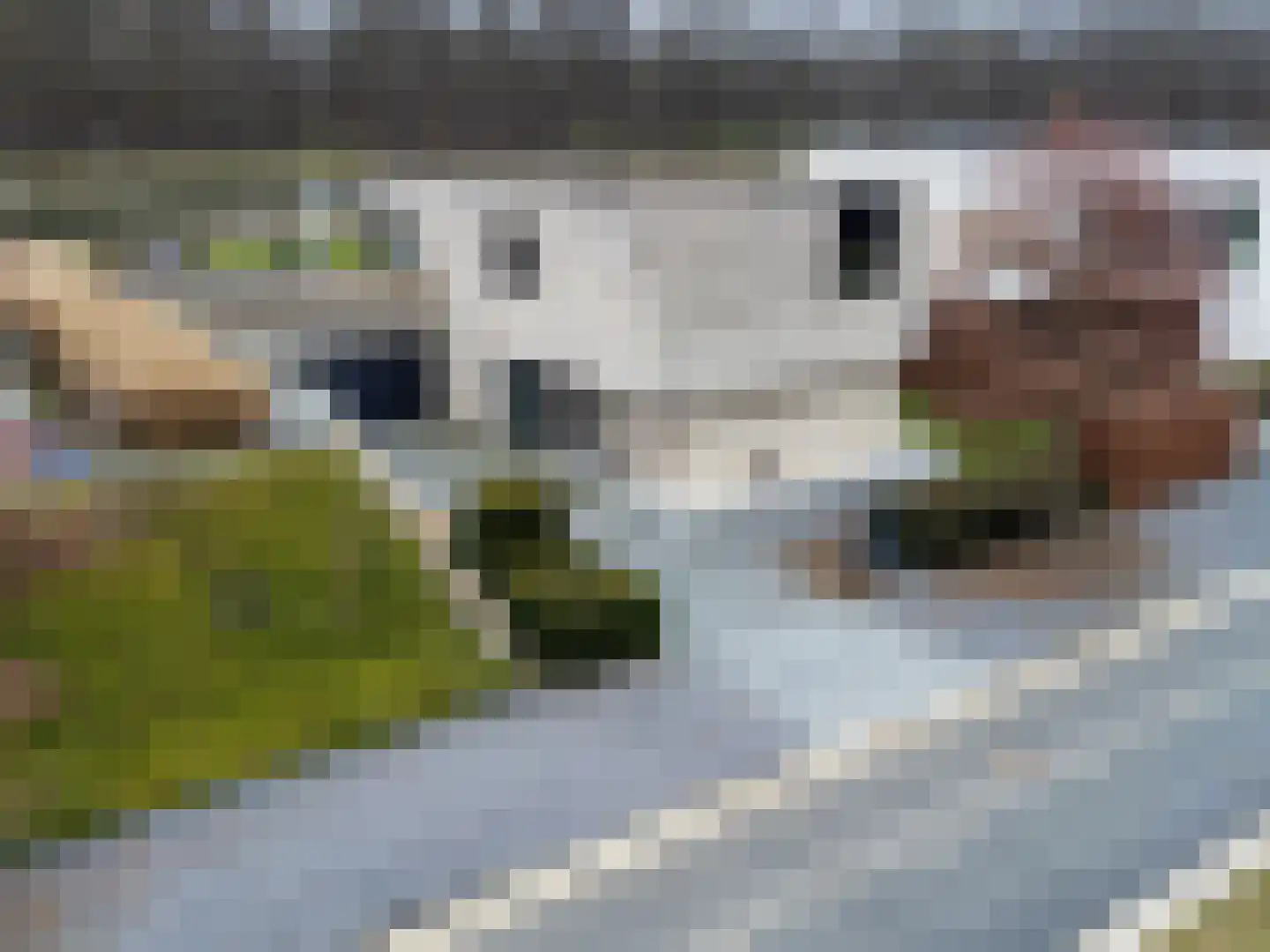 Heuvelsweg 3650 Dilsen-Stokkem Grevenbicht foto 2