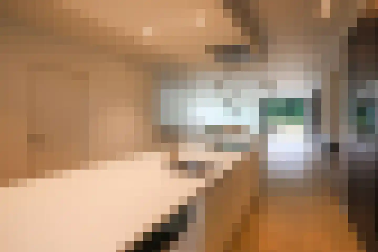 Heuvelsweg 3650 Dilsen-Stokkem Grevenbicht thumbnail 21