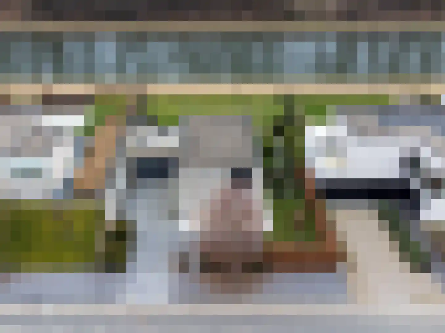 Heuvelsweg 3650 Dilsen-Stokkem Grevenbicht foto 3